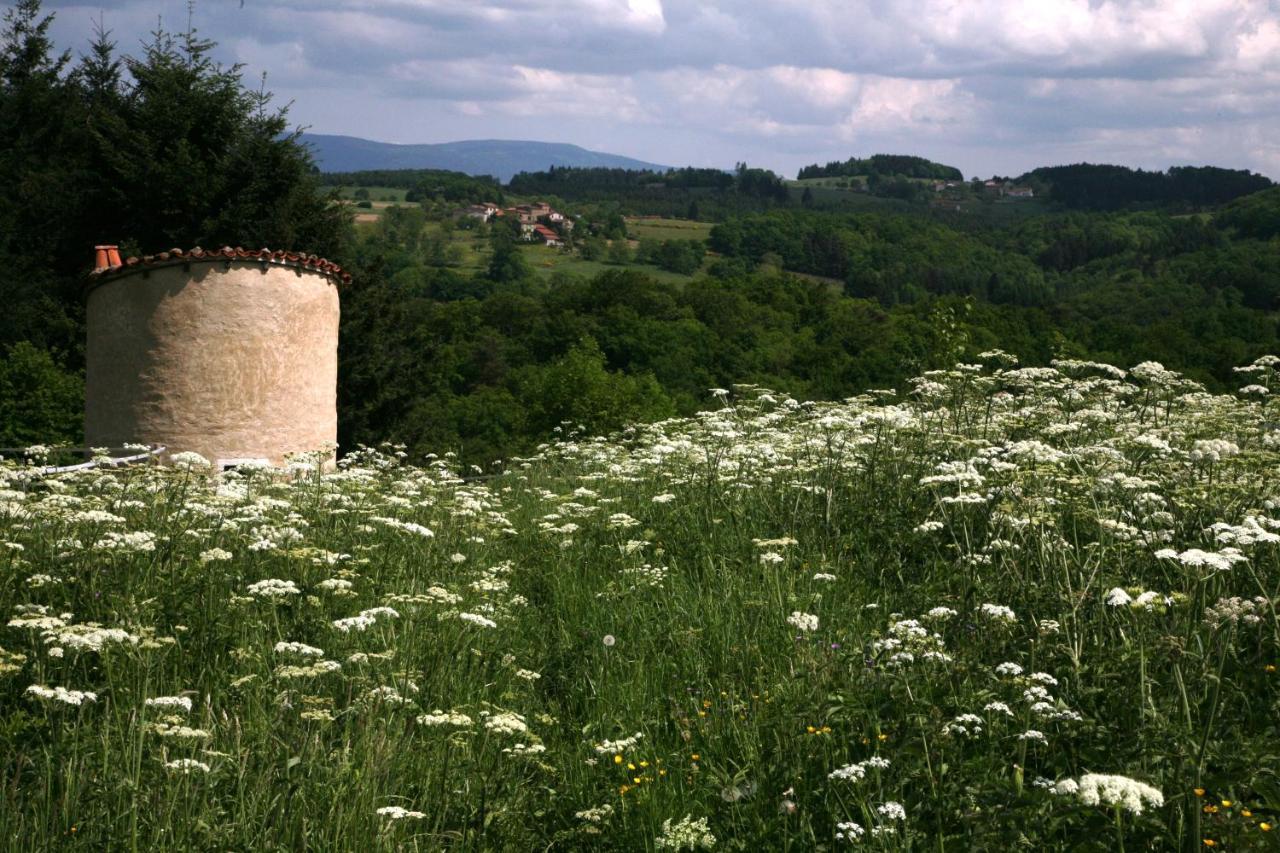 Bed and Breakfast La Paresse En Douce Tours-Sur-Meymont Exterior foto